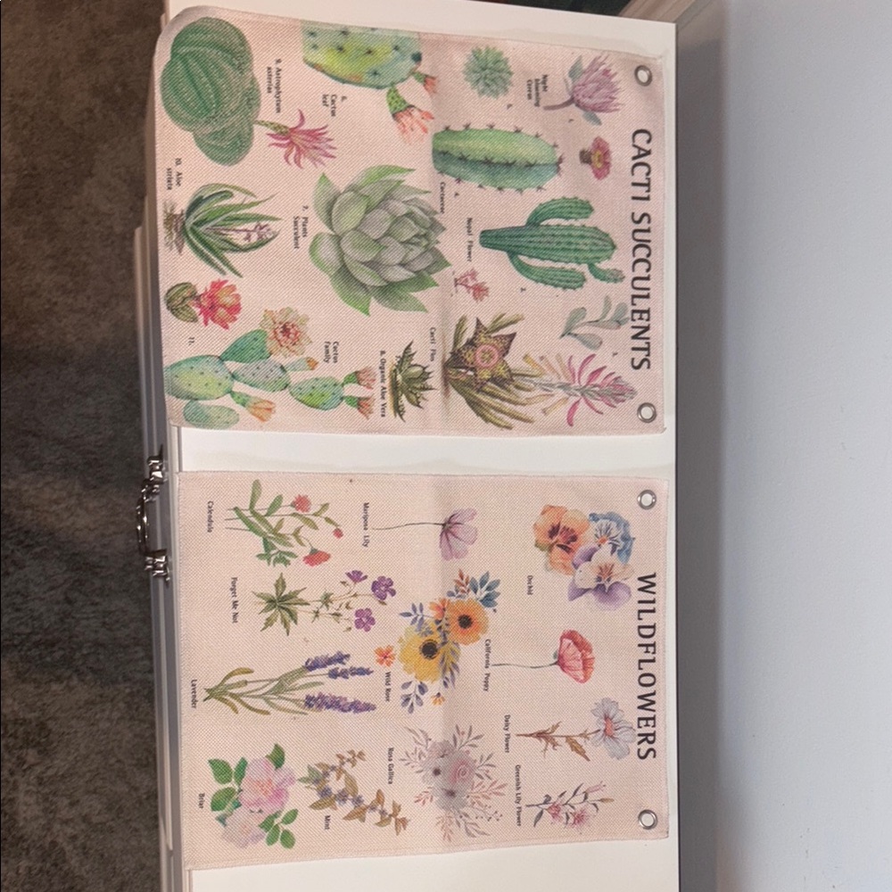 Cactus and Wildflowers Botanical Wall Art